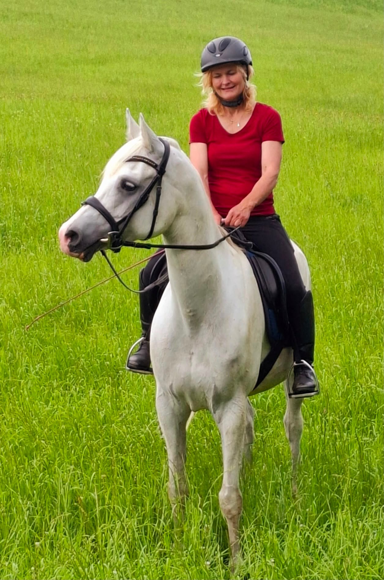 Ausritt mit Azida